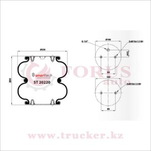 Пневмоподушка FD 200-19 1/4 M10 гармошка 2-х секционная (ROR) (ST 20220, ST20220)