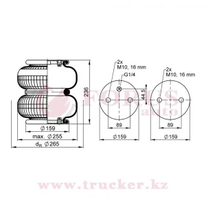 Пневмоподушка FD 200-22 1/4 M10 гармошка 2-х секционная (Schmitz) (SK-113001-01PL)