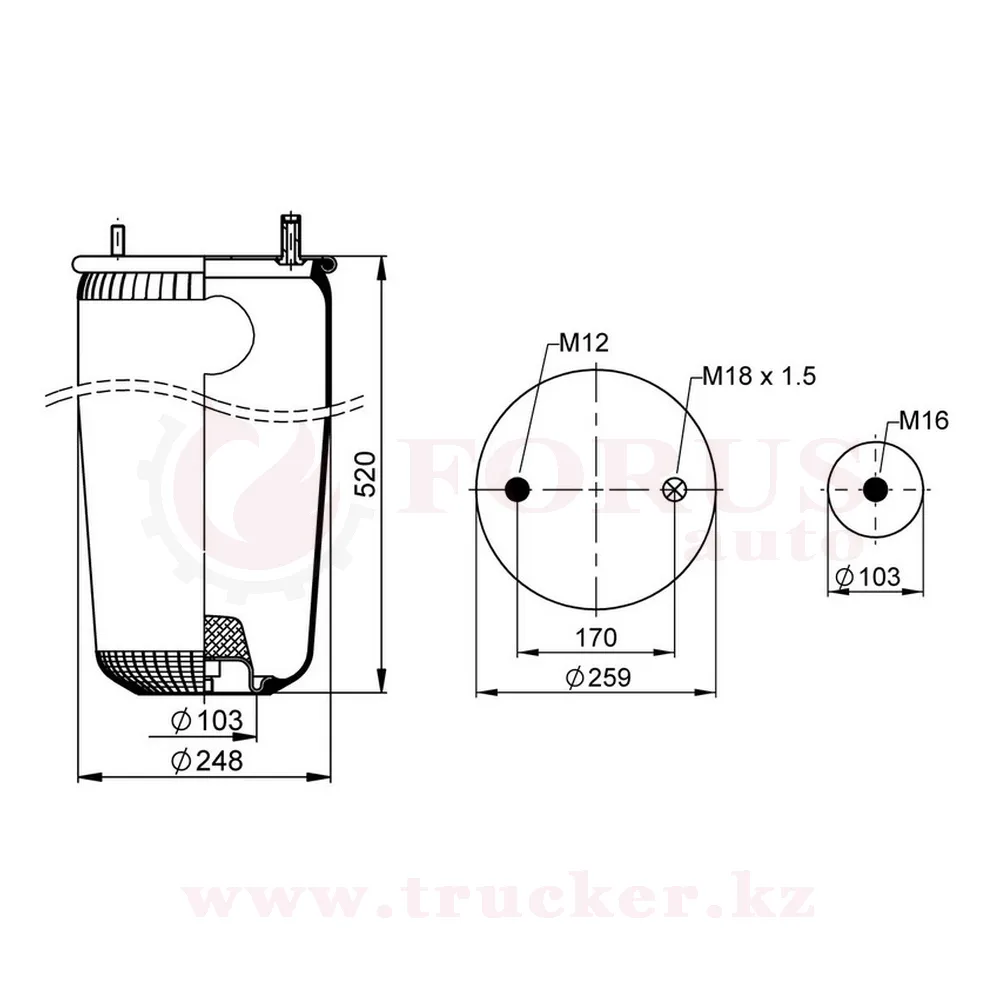 st4941s (01) Пневмоподушка 4941 N P02 без стакана (BPW) — изображение 1