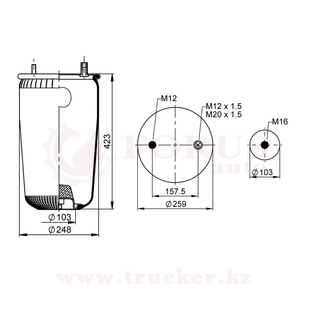 st4960s (01) Пневмоподушка 4960 N P02 без стакана (BPW) — изображение 1